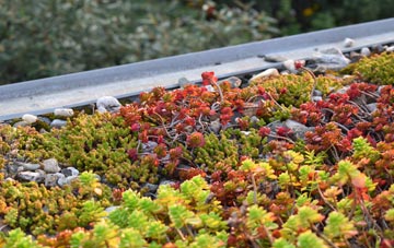 the cost of Woolgarston green roof installation
