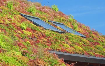 Woolgarston living roof systems